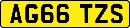 AG66TZS