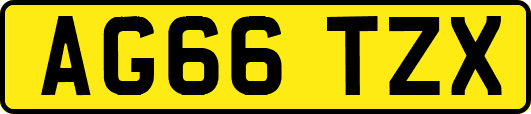 AG66TZX