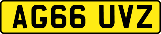 AG66UVZ