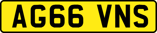 AG66VNS