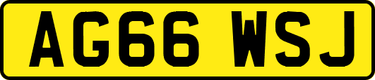 AG66WSJ
