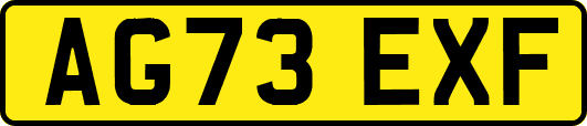 AG73EXF
