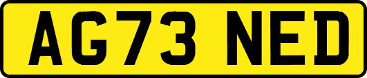 AG73NED