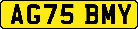 AG75BMY