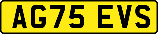 AG75EVS