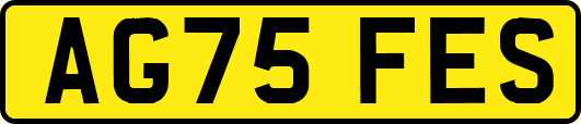 AG75FES
