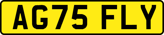 AG75FLY