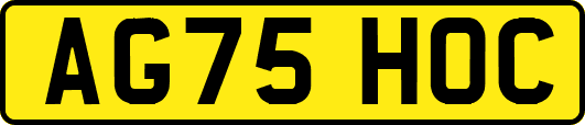 AG75HOC
