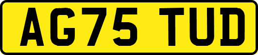 AG75TUD