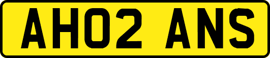 AH02ANS