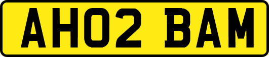 AH02BAM