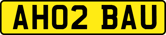 AH02BAU