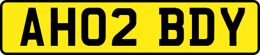 AH02BDY