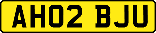 AH02BJU