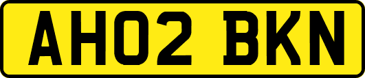 AH02BKN
