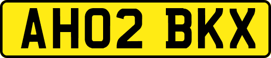 AH02BKX