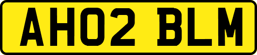 AH02BLM