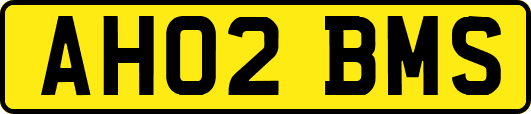 AH02BMS