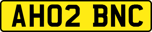 AH02BNC