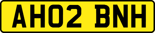 AH02BNH