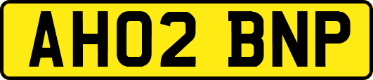 AH02BNP