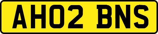AH02BNS