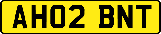 AH02BNT
