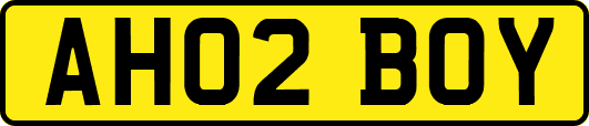 AH02BOY