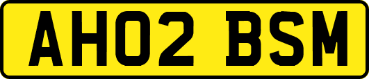AH02BSM