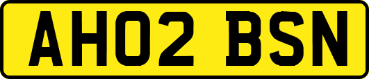 AH02BSN