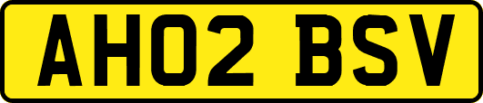 AH02BSV