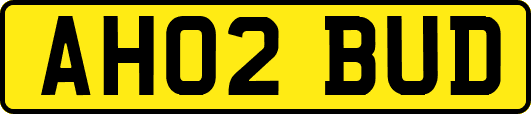 AH02BUD