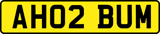 AH02BUM