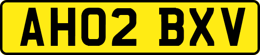 AH02BXV