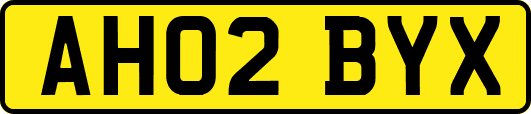 AH02BYX