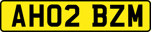 AH02BZM