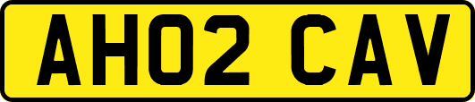 AH02CAV