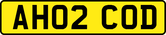 AH02COD