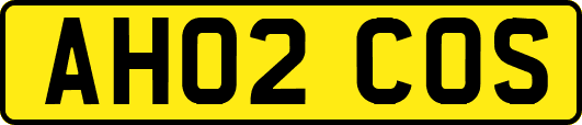 AH02COS