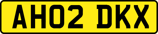 AH02DKX