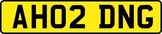 AH02DNG