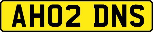 AH02DNS