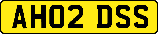 AH02DSS