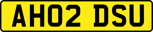 AH02DSU