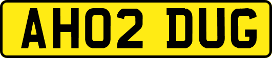 AH02DUG