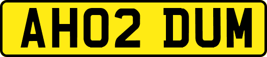 AH02DUM