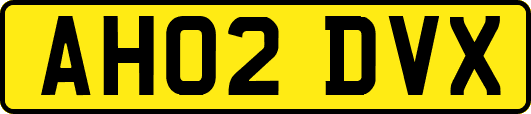 AH02DVX