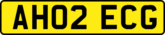 AH02ECG