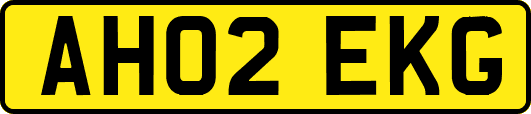 AH02EKG