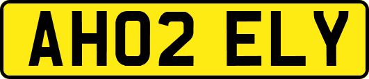 AH02ELY